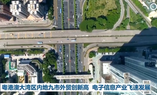 粵港澳大灣區(qū)內地九市外貿創(chuàng)新高 電子信息產業(yè)飛速發(fā)展